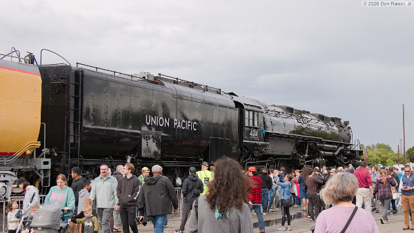 UP4014&nbsp;&lpar;4-8-8-4-1&rpar;