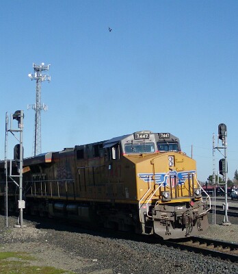 UP7447 &lpar;C45ACCTE&rpar; and a Pigeon