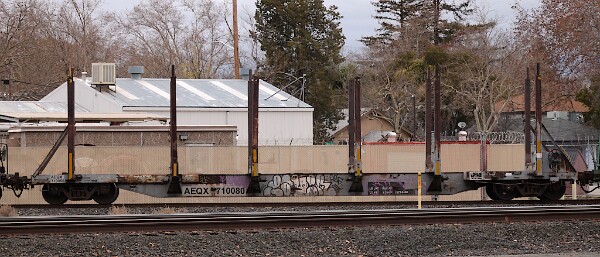 AEQX710080 - Log Spine Car