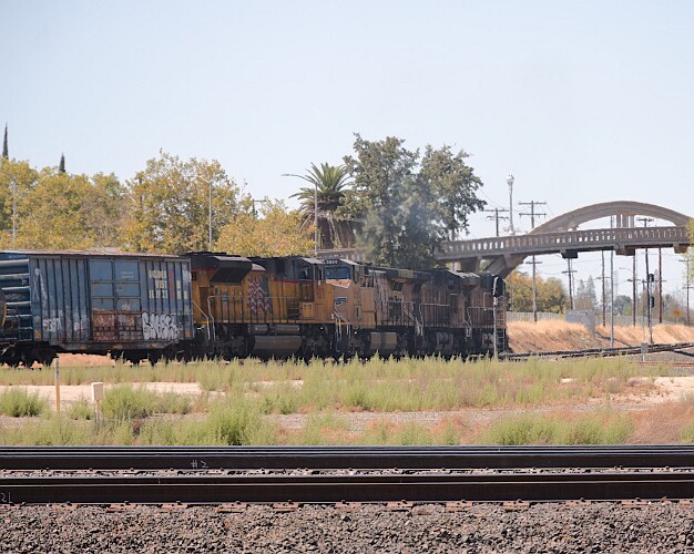 August 11, 2022 Photo Index