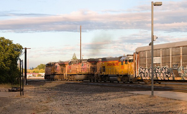 UP7692&nbsp;&lpar;C45ACCTE&rpar; - UP5663&nbsp;&lpar;C44ACCTE&rpar; - UPY575&nbsp;&lpar;GP15-1&rpar;