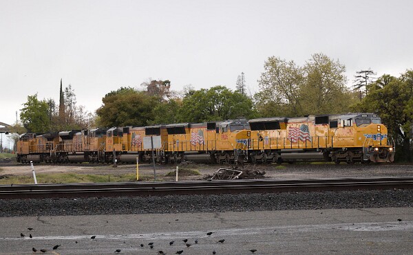 UP9916&nbsp;&lpar;SD59MX&rpar; - UP9926&nbsp;&lpar;SD59MX&rpar; - UP4560&nbsp;&lpar;SD70M&rpar; - UP8654&nbsp;&lpar;SD70ACe&rpar; - UP7184&nbsp;&lpar;C44ACM&rpar;