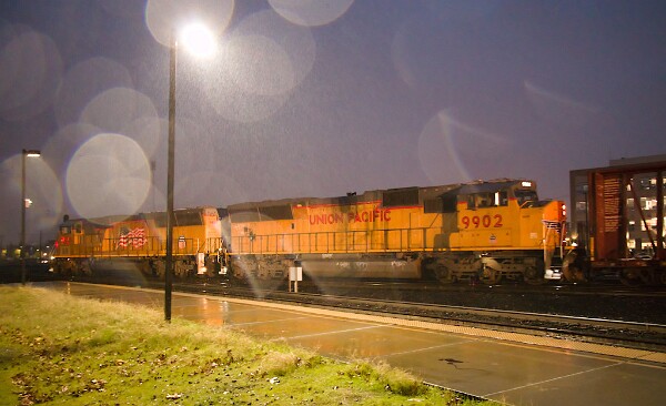 UP9925&nbsp;&lpar;SD59MX&rpar; - UP9902&nbsp;&lpar;SD59MX&rpar;