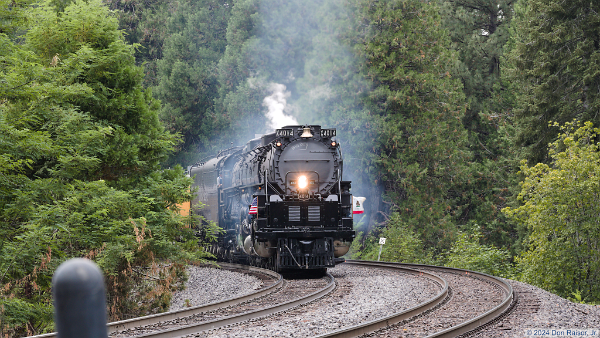 UP4014&nbsp;&lpar;4-8-8-4-1&ast;&rpar;