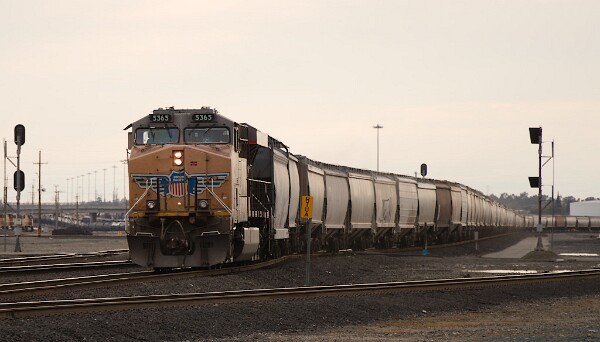 UP5365&nbsp;&lpar;C45ACCTE&rpar;