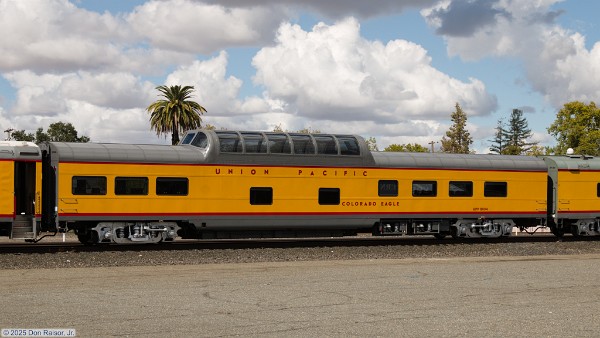 UPP8004 Colorado Eagle